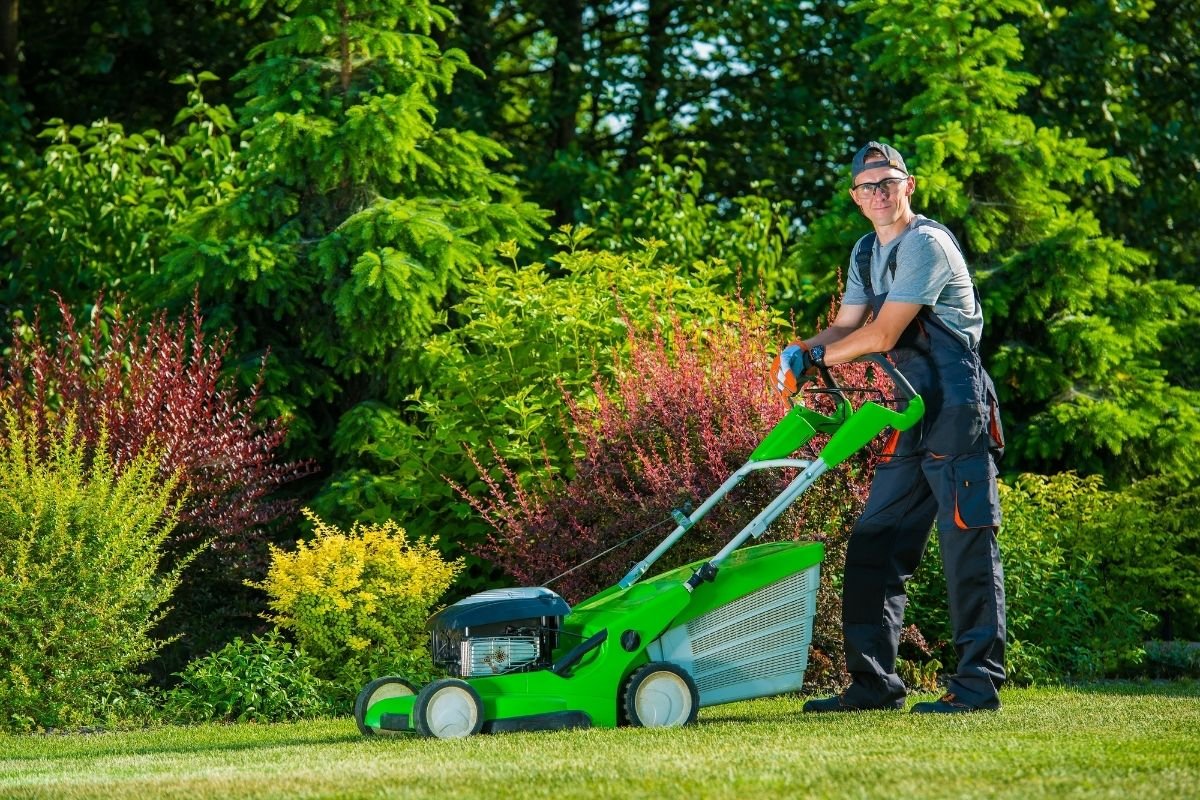 Best Lawn Guy MN
